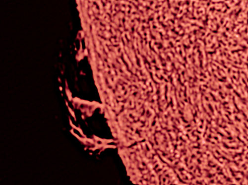 WebsiteD-202604141308590011.jpg