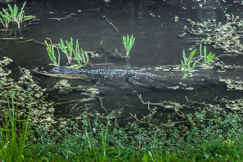 WebsiteD-2010051518461000106119.jpg