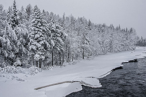 Website-2014020113222800100459.jpg
