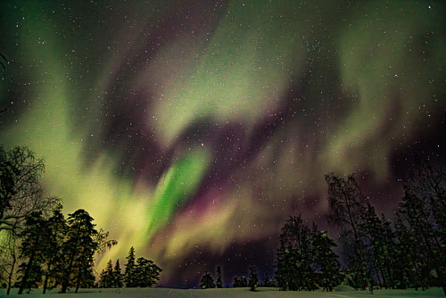 WebsiteD-2018031423432700102359.jpg WebsiteD-2018031423432700102359.jpg