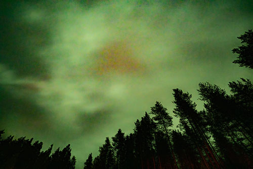 WebsiteD-20250916232411001404378.jpg WebsiteD-20250916232411001404378.jpg