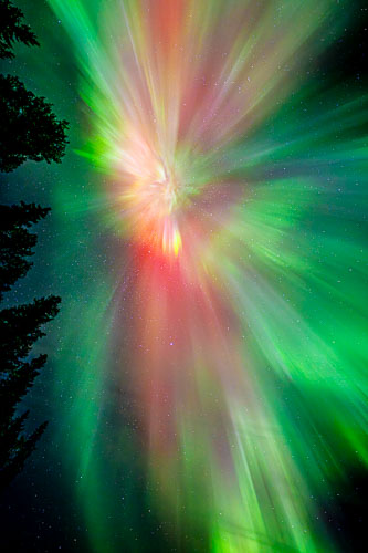 WebsiteD-20250922234433001406738.jpg WebsiteD-20250922234433001406738.jpg