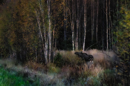 WebsiteD-20250925194510001307756_v1.jpg WebsiteD-20250925194510001307756_v1.jpg