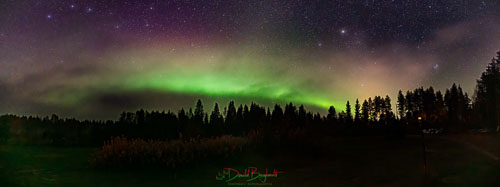 WebsiteD-202509272224170012.jpg WebsiteD-202509272224170012.jpg