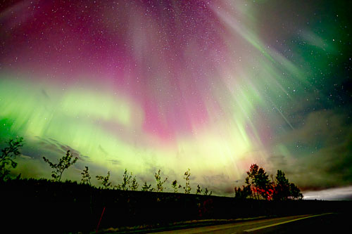 WebsiteD-20250930014947001301172.jpg WebsiteD-20250930014947001301172.jpg