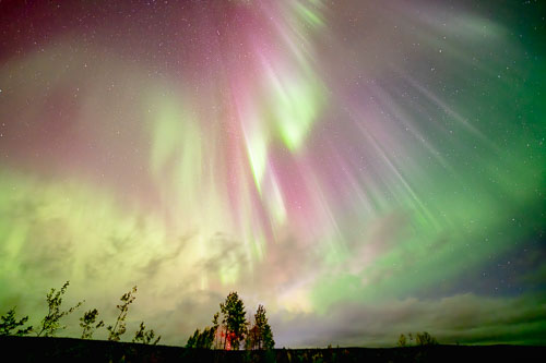 WebsiteD-20250930015240001301184.jpg WebsiteD-20250930015240001301184.jpg