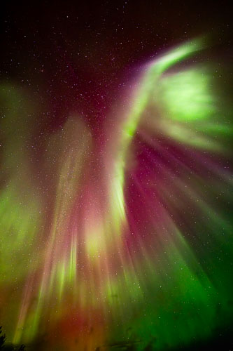 WebsiteD-20250930015553001301193.jpg WebsiteD-20250930015553001301193.jpg