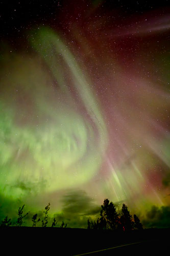 WebsiteD-20250930015709001301197.jpg WebsiteD-20250930015709001301197.jpg