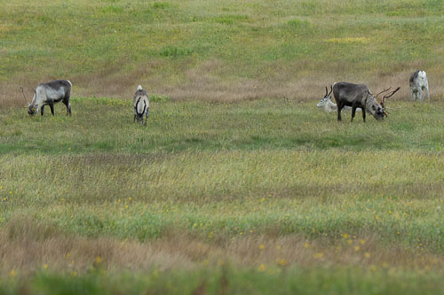 WebsiteD-20251003173112001401478.jpg WebsiteD-20251003173112001401478.jpg