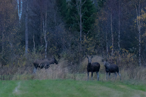 WebsiteD-20251003191738001401480.jpg WebsiteD-20251003191738001401480.jpg