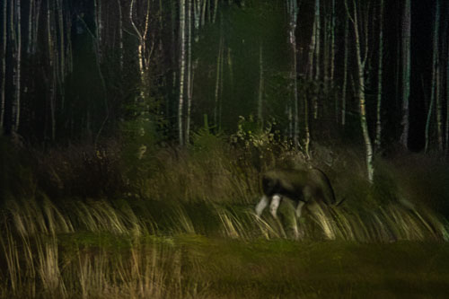 WebsiteD-20251003200627001401491.jpg WebsiteD-20251003200627001401491.jpg