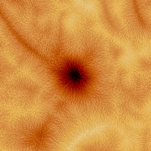 WebsiteD-20260511164448001.jpg